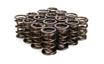 Manley 221454-16 Nextek Dual Valve Springs New. Price: $409.74.