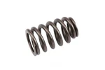 ACDELCO-12592506-SPRING-VLV (99) New. Price: $10.02.