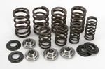 Kibblewhite Valve Spring Kit .500" Lift 82-82200 New. Price: $172.00.