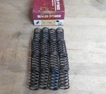 Sealed Power VS-754 Valve Spring 16 Pcs. Fits: Nissan L6 1968-84 (06-C-5) New. Price: $99.98.