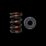 Brian Crower Dual Valve Spring & Steel Retainer Kit Honda Acura B18A B18B B20B Used. Price: $199.99.