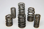 Ferrea S10169 Fits Infiniti VR30DDTT Single Valve Spring - Set Of 24 New. Price: $479.99.