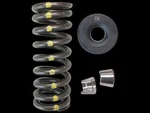 Brian Crower BC0088S Valve Spring Steel Retainer Kit For Honda L15B7 W/ Keepers New. Price: $309.14.