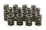 Isky Cams 6105SP Dual Valve Springs W/damper - LS1 New. Price: $348.51.