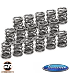 Supertech SPR-H100DR Dual Valve Springs Fits Honda & Acura K24Z7 Dohc Vtec New. Price: $219.99.