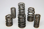 Ferrea S10169 Single Valve Spring Set For Infiniti VR30DDTT Engines New. Price: $566.95.