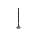 Engine Intake Valve-vin: F, Dohc, 32 Valves Dnj IV4299 New. Price: $18.84.