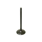 Bronco Exhaust Valve, Pc AU-09166E New. Price: $13.33.