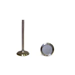 Dnj IV1119 Engine Intake Valve For Select 87-99 Dodge Jeep Models New. Price: $13.75.
