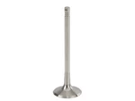 Trw 36VG74H Intake Valve Fits 2005-2016 Audi A4 Quattro New. Price: $26.46.