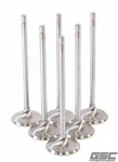 Gsc Fits P-d Toyota G16E-GTS 32.8MM Head (std) Chrome Polished Intake Valves New. Price: $169.99.
