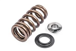 Apr MS100258 Valve Spring Kit New. Price: $61.45.