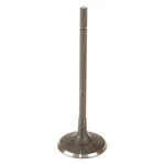 For Land Rover Range Sport 2006-2009 Osvat Intake Valve New. Price: $14.93.