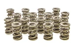 Racing Springs 1.667 Triple Valve (16) PAC-1351-16 New. Price: $648.57.