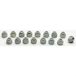 Manley 24035-16 Ptfe Valve Stem Seals New. Price: $31.70.