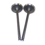 Dnj IV955 Engine Intake Valve For Select 09-17 Lexus Scion Toyota Models New. Price: $14.99.
