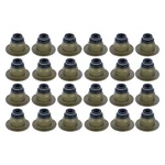 Ford F-150 2011-2013 Apex Auto AVS11082 Valve Stem Seal Set New. Price: $32.44.