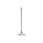 Dnj IV245A Intake Valve Fits 1994-2002 Honda Accord 97-99 Acura Cl New. Price: $31.99.