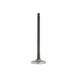 Dnj IV528 Intake Valve Fits 2004-2006 Suzuki Verona New. Price: $30.99.