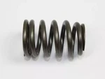 Genuine Mopar Valve Spring 4781588AC New. Price: $5.92.