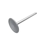 Genuine Mopar Intake Valve Right Cylinder Head 5038331AB New. Price: $100.31.