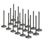 Supertech AIVN-1103-18 Black Nitride Stainless Intake Valves Set Audi Vw 5V New. Price: $468.95.