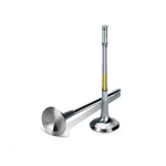 Supertech Exhaust Valve Ford Ecoboost Inconel Sodium Filled Single New. Price: $92.15.