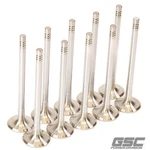 Gsc Power 2251-10 Super Alloy Exhaust Valves For R8 5.2L /huracan V10 New. Price: $353.60.