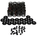 Howards Cams Inc Engine Valve Spring Kit 98412-K11 New. Price: $202.07.