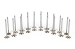 Ferrea Competition Plus Intake + Exhaust Valves For 15-19 Bmw S55 M3 / M4 3.0L New. Price: $964.54.