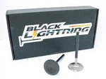 Sbc - Racing Valves Nitrided Stainless (8) Intake 2.020" +100 Length New. Price: $135.00.