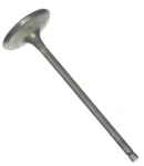 Genuine Ford Intake Valve 9S4Z-6507-C New. Price: $20.04.