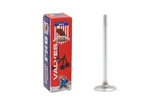 Dnj IV143 Intake Valve For 98-11 Chrysler Dodge 300M 3.2L-4.0L V6 Sohc 24V New. Price: $14.94.