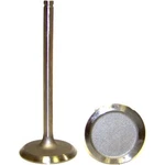 IV1119 Dnj Intake Valve For Dodge Dakota Jeep Cherokee Wrangler Grand Comanche New. Price: $24.84.