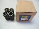 Sbi 160-1184 Engine Valve Spring Cate 3406,B Dies 3412 3408 3400C,E Pcs New. Price: $17.49.