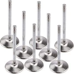Manley 11322 8 Valves New. Price: $270.19.