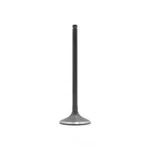 Intake Valve Dnj Engine Components IV217 New. Price: $19.00.