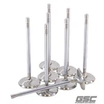 Gsc Power 2172-8 Stainless Steel Std Size Intake Valve For Voodoo Predator 5.2L New. Price: $219.83.