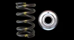Brian Crower BC0300HD Valve Springs + Titanium Retainers Toyota 2JZ-GTE 1JZ-GTE New. Price: $456.20.