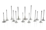 Ferrea F6048 Intake Valve For 1992-2000 Acura/honda B-series Gsr/del Sol New. Price: $205.95.