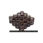Blox Racing BXPT-20300 Dual Valve Springs For H22A 2.2L Dohc Vtec New. Price: $208.00.