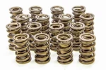 Isky Cams 9995RAD Valve Spring Set Performance Engines New. Price: $641.55.