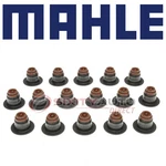 Mahle SS45930 Engine Valve Stem Oil Seal Set For 71043 71042 12574354 New. Price: $49.51.