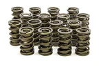 Isky Cams 9925 1.534 Valve Springs New. Price: $531.46.