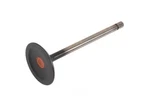 Engine Intake Valve New. Price: $31.45.
