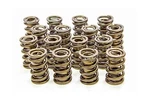 Isky Racing Cams (9988-RAD) 1.570" O.d. Valve Spring New. Price: $721.25.