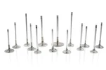 Ferrea F1933P New. Price: $408.64.