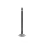 Engine Intake Valve-dohc, 16 Valves Dnj IV319 New. Price: $16.17.