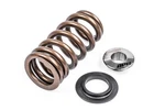Apr Engine Valve Spring Kit - (1 Set) New. Price: $76.39.