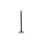 Engine Intake Valve-vin: E, Dohc, Turbo, Ecoboost, 12 Valves Dnj IV4311 New. Price: $18.66.